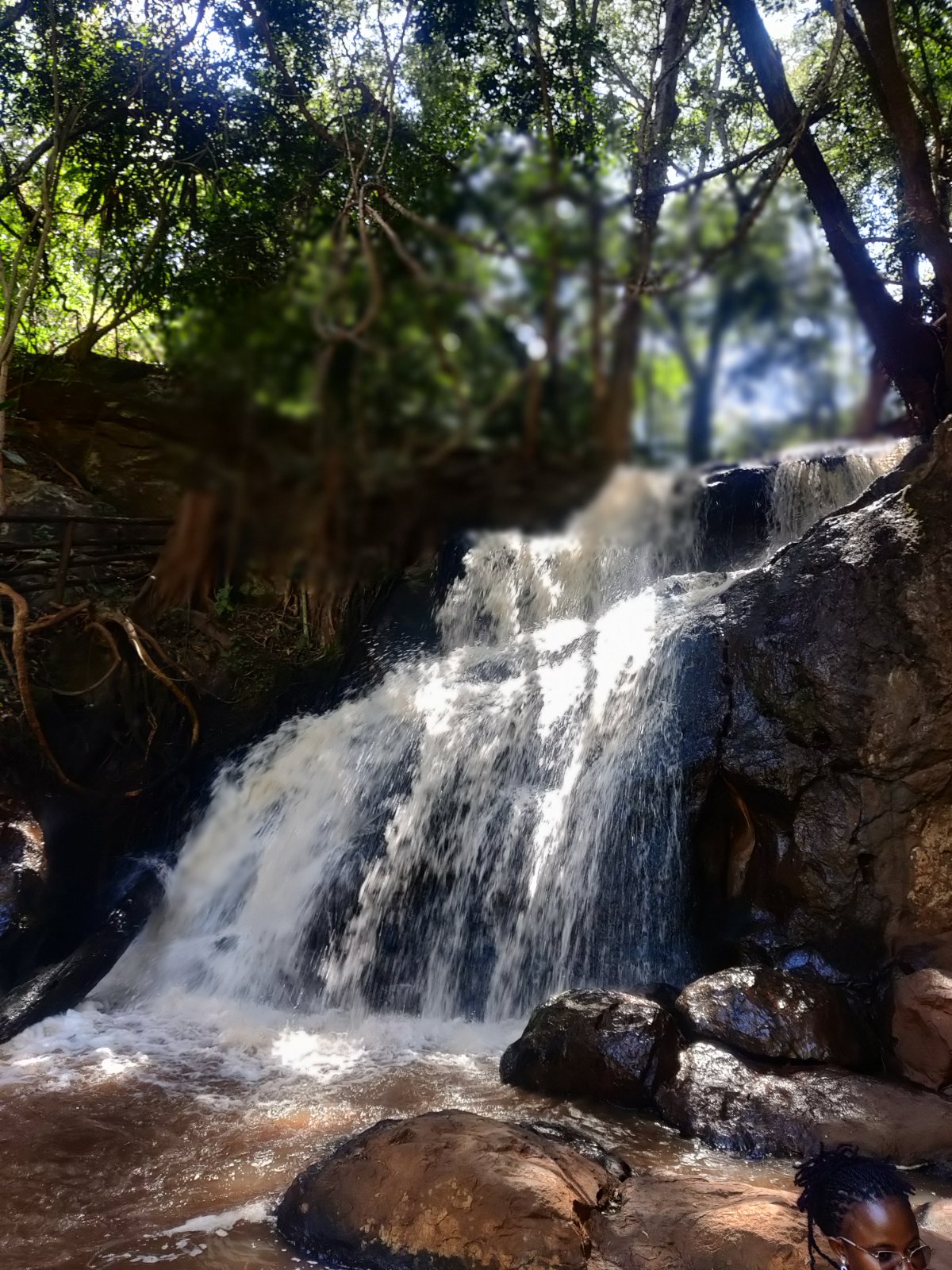 Forest waterfall, Tanzania