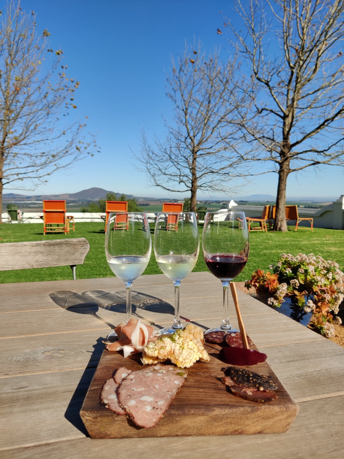 Wine tasting and charcuterie in the Cape Winelands