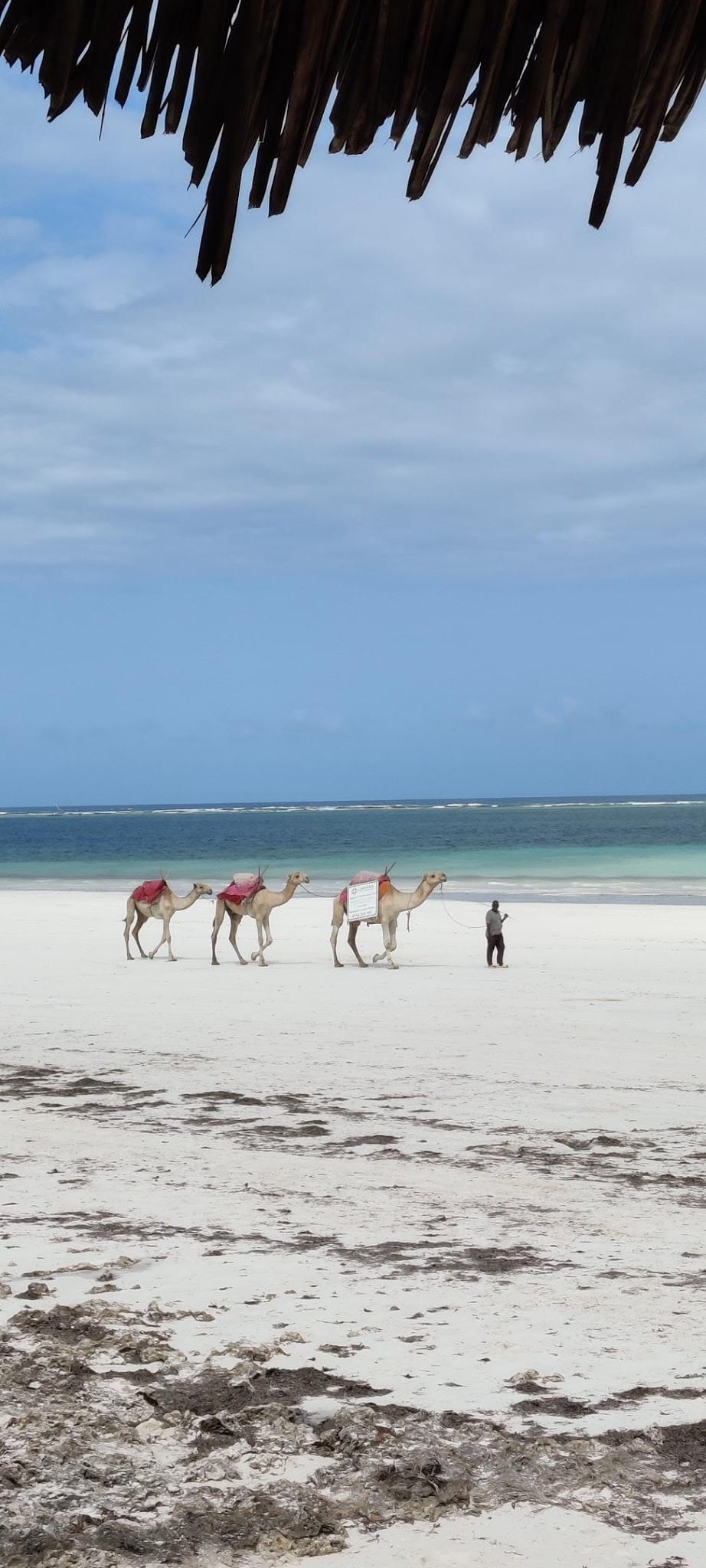 Africa Travel to Diani Beach, Kenya.