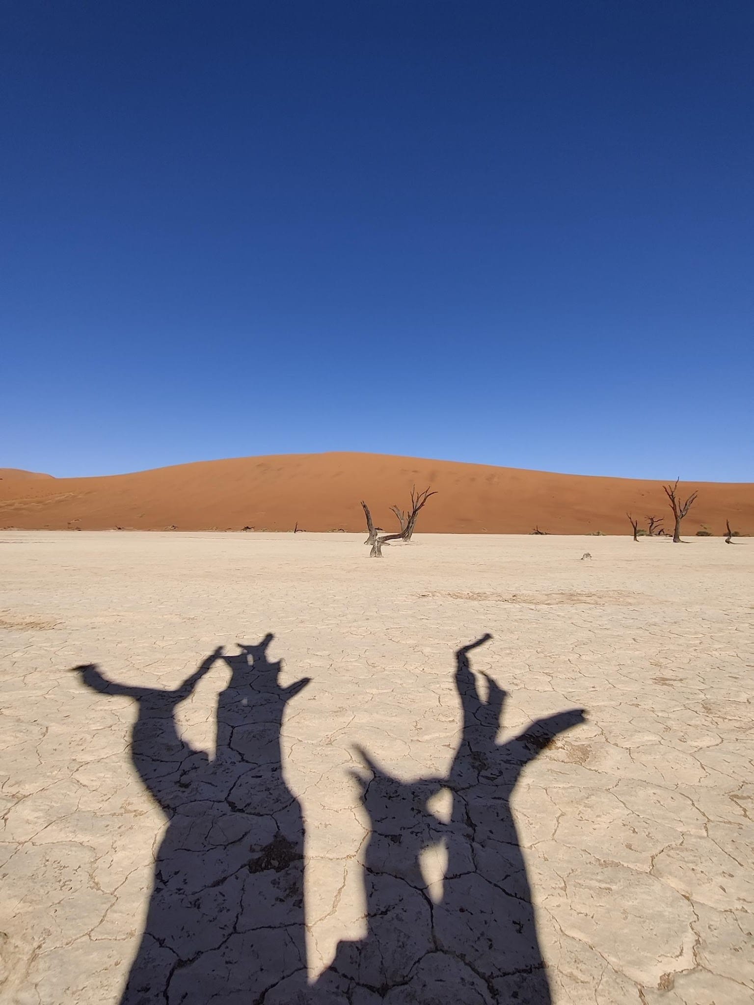 If you are looking for an amazing trip, do not skip Sossusvlei & Dead Vlei in Namibia